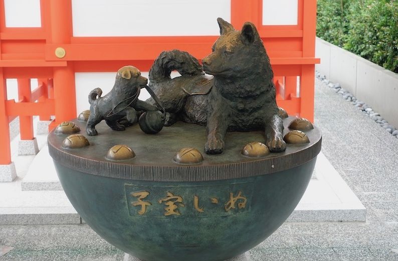 潜派旅行