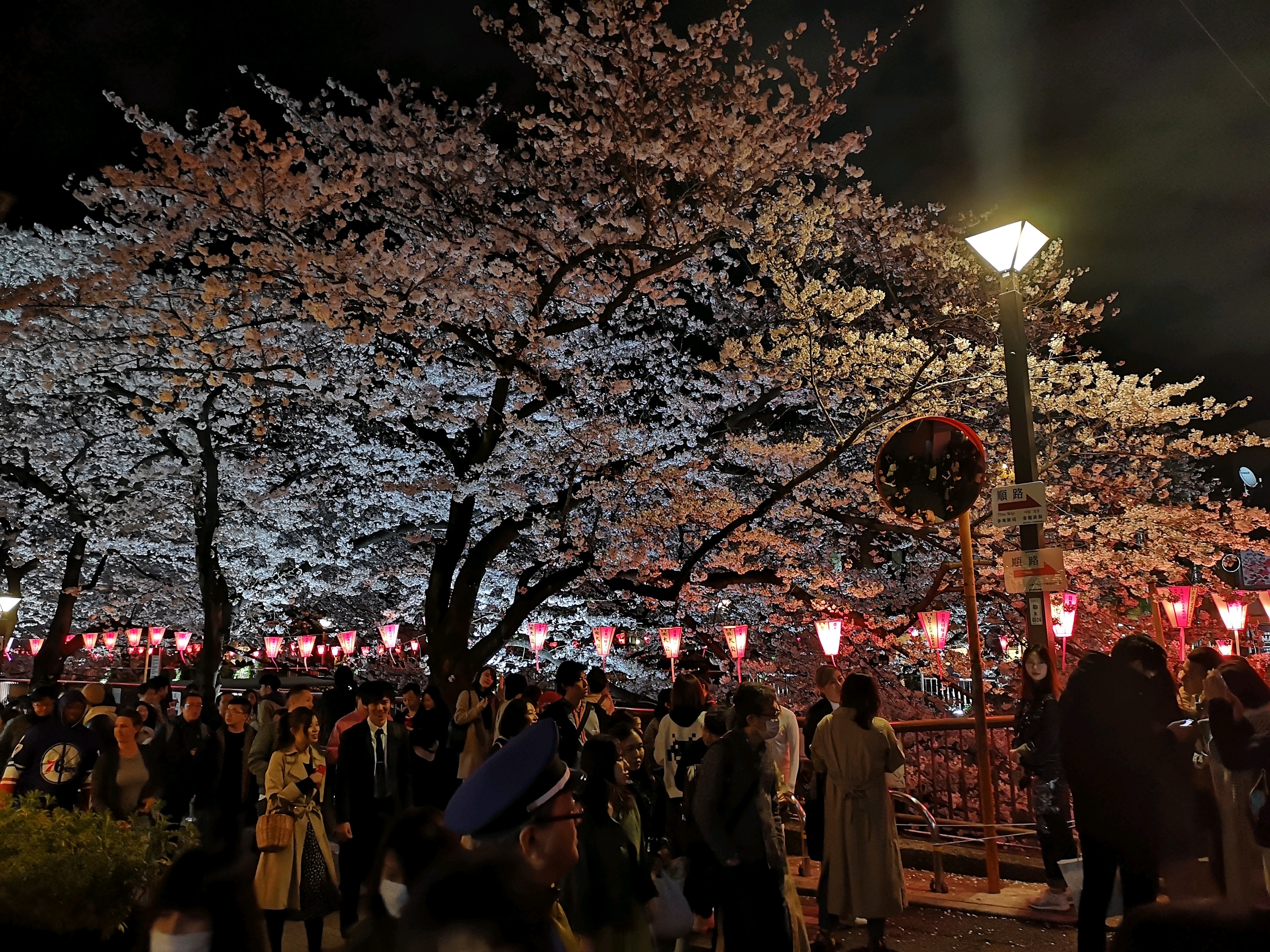 东京美食-RISTORANTE OZIO