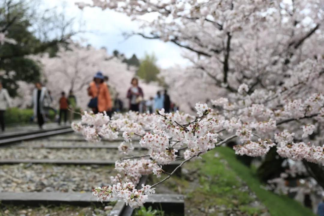 潜派旅行