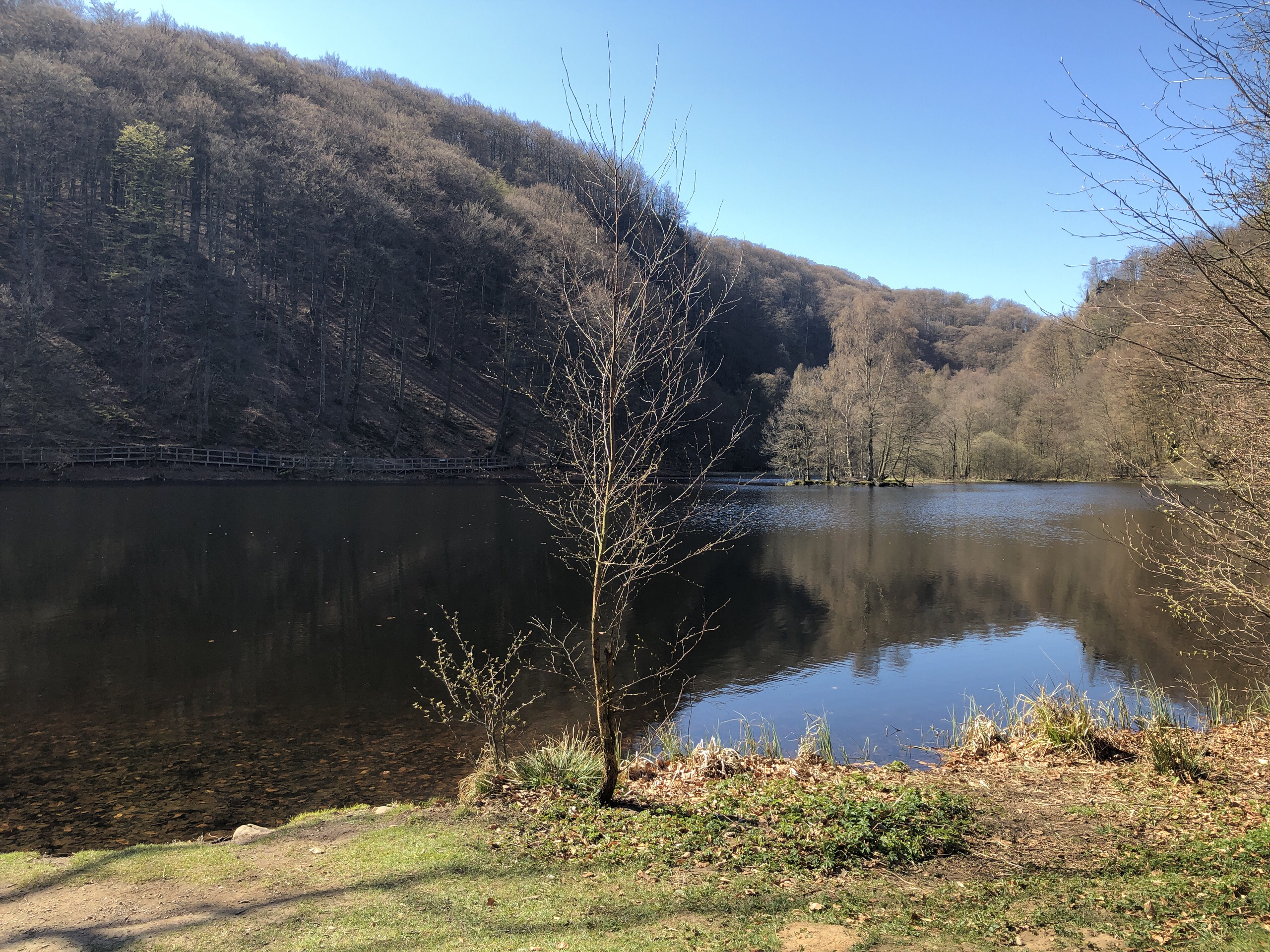 斯科讷美食-Skaralids Restaurang