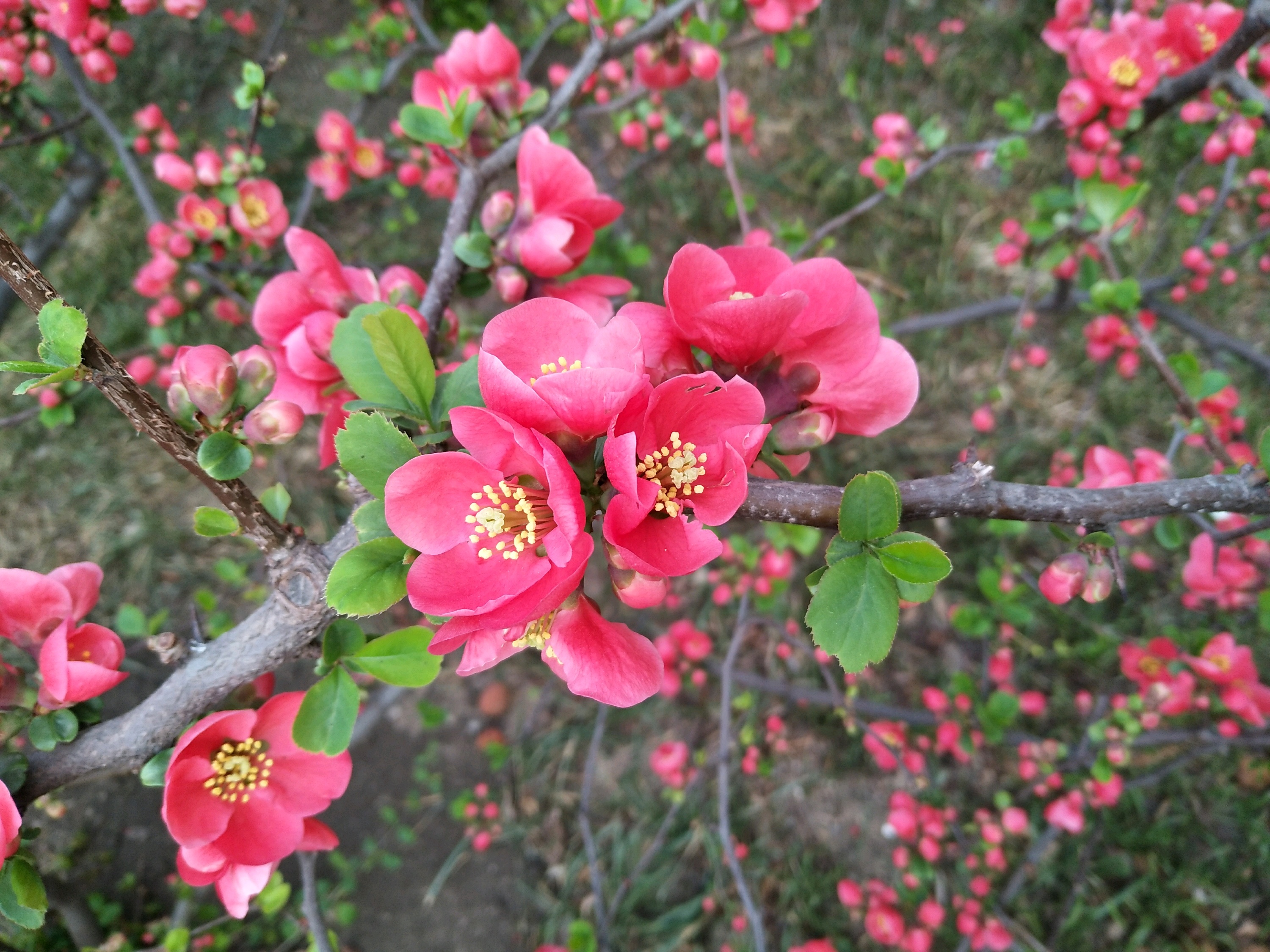 北京娱乐-朝阳公园真人CS(北京安博育才俱乐部)