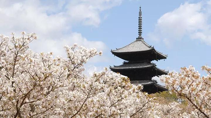 潜派旅行