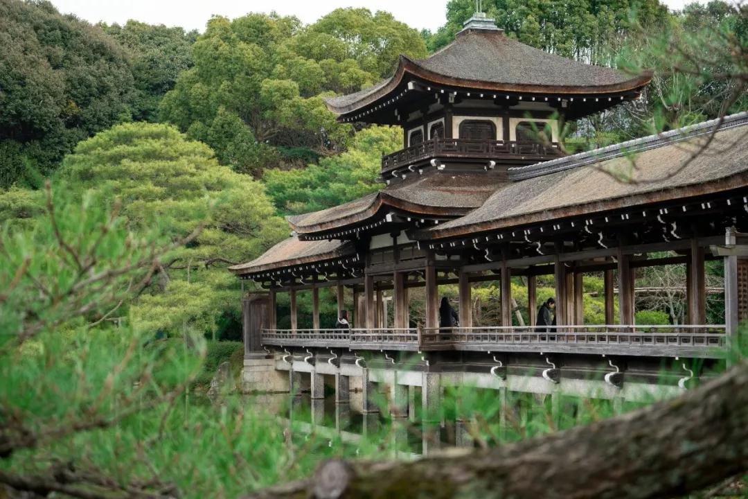 潜派旅行