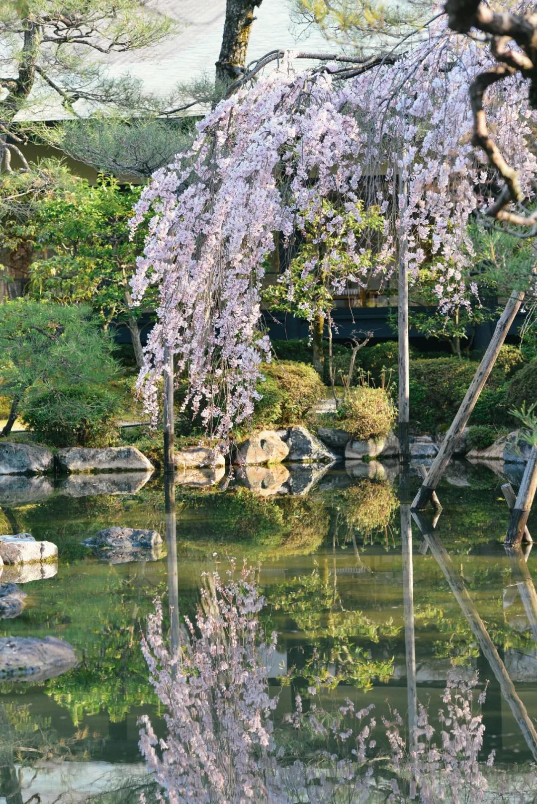 潜派旅行