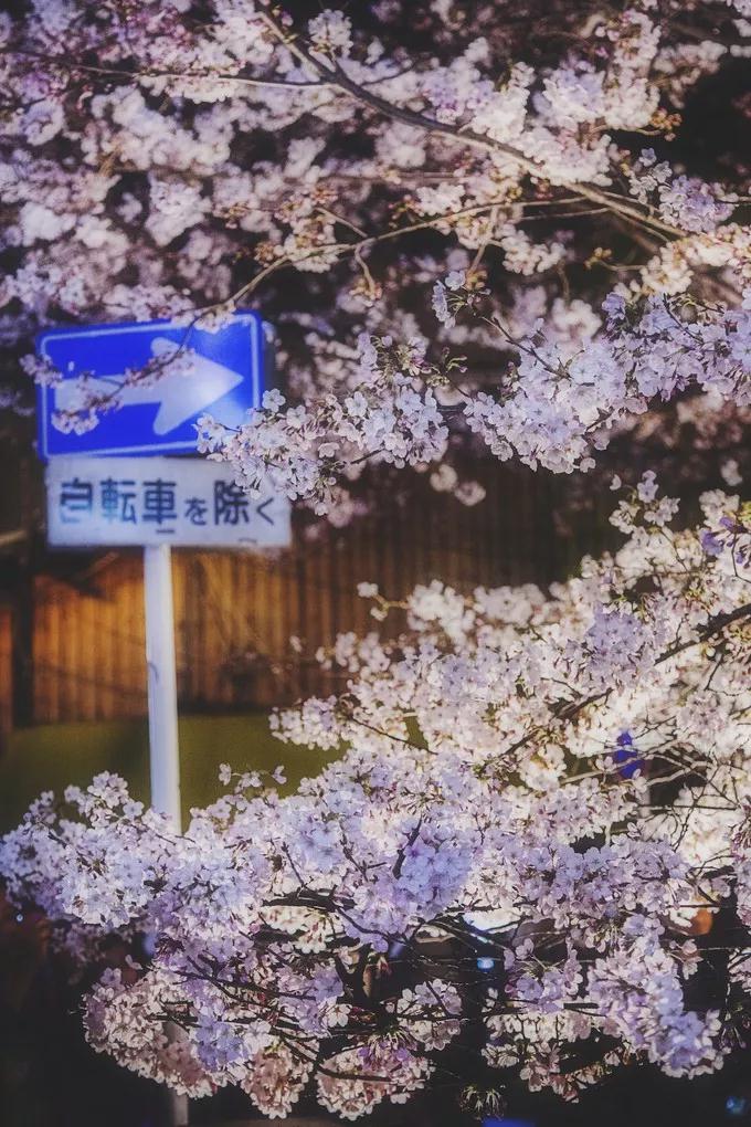 潜派旅行