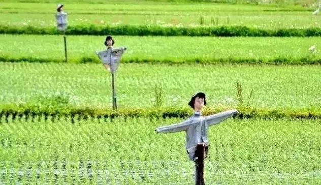 潜派旅行