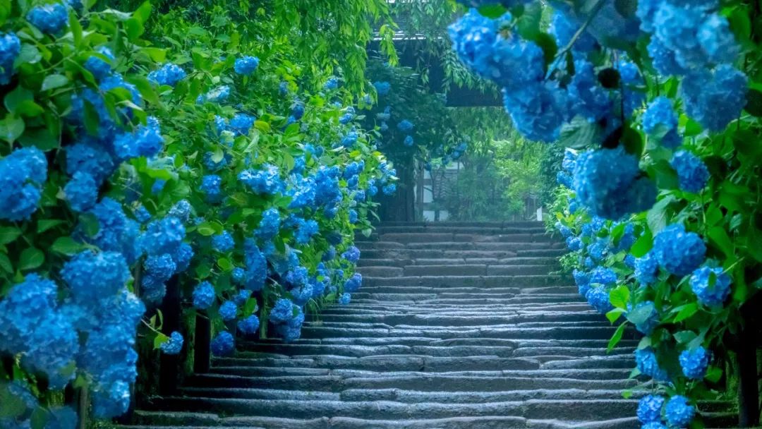 潜派旅行