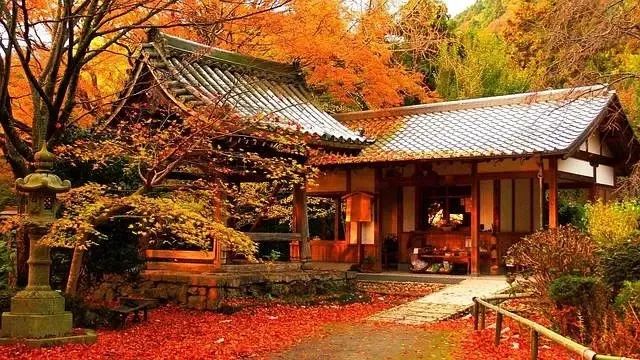 潜派旅行