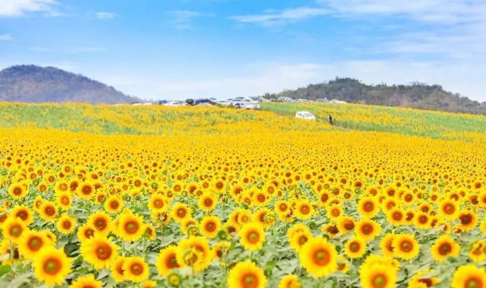 潜派旅行
