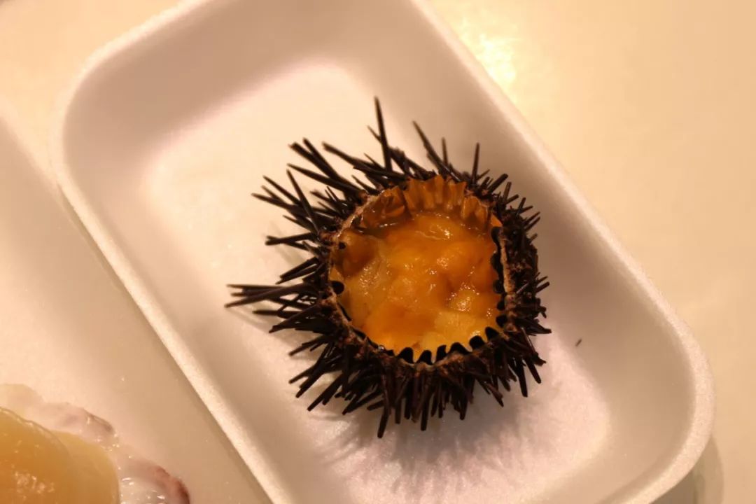潜派旅行