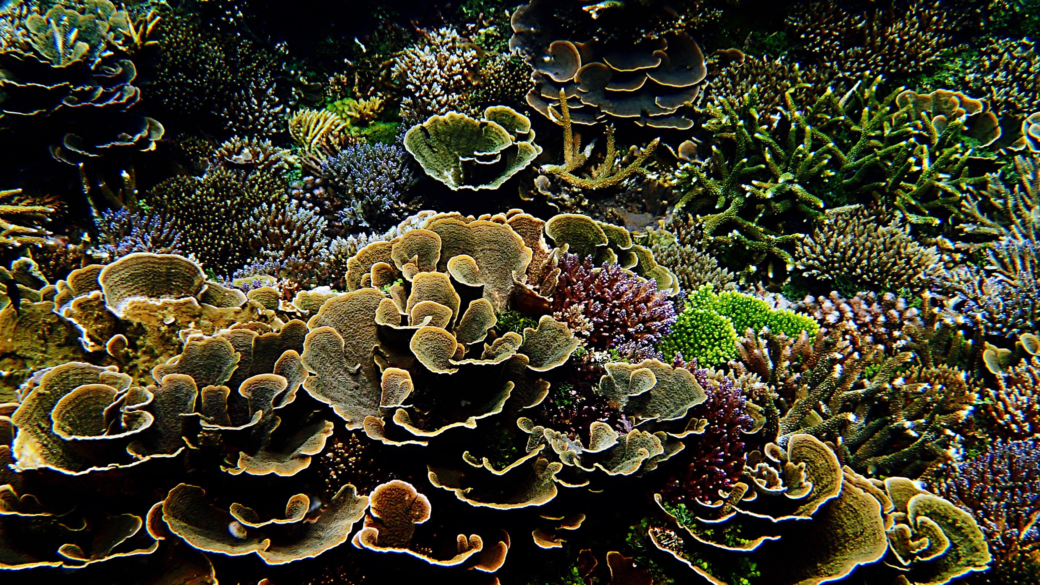 亚庇娱乐-亚庇 tuaran海滩