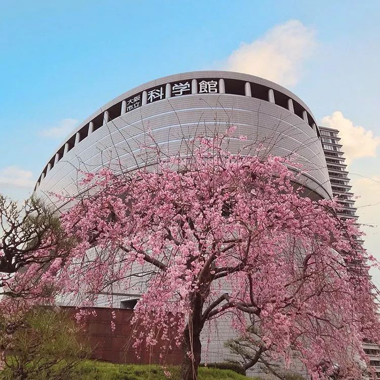 潜派旅行