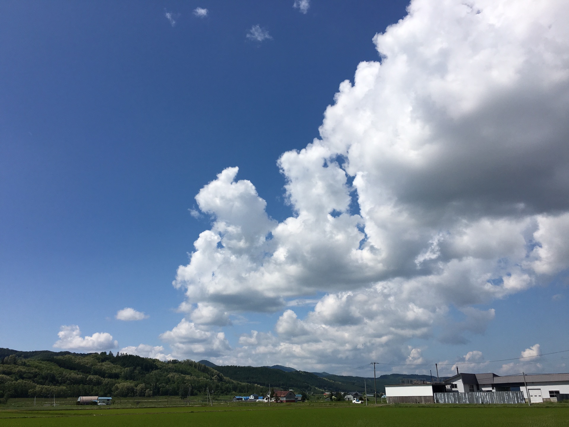 北海道-东京之旅_游记