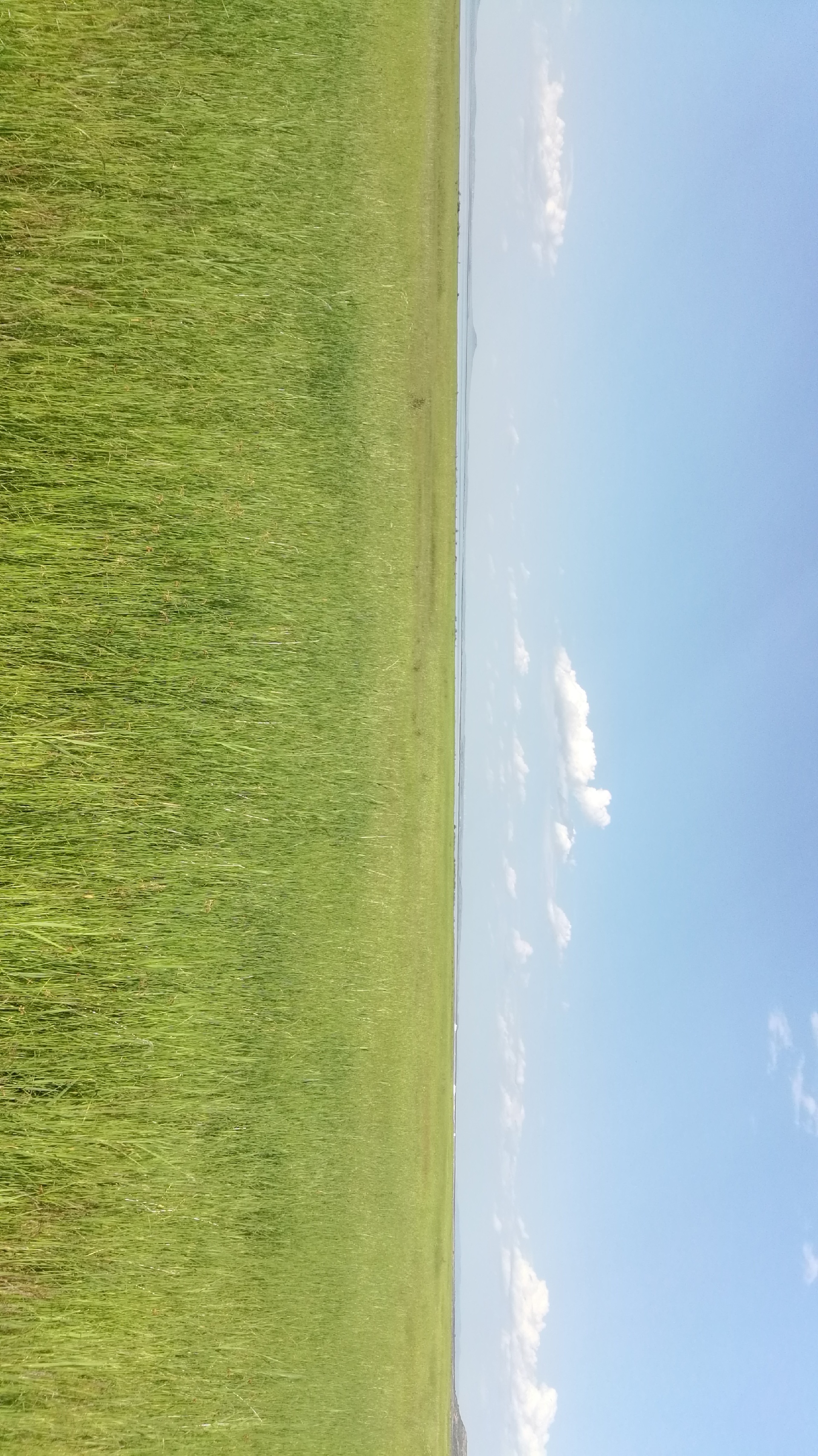 北京美食-道乐日本料理(荣和店)