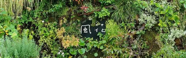 潜派旅行