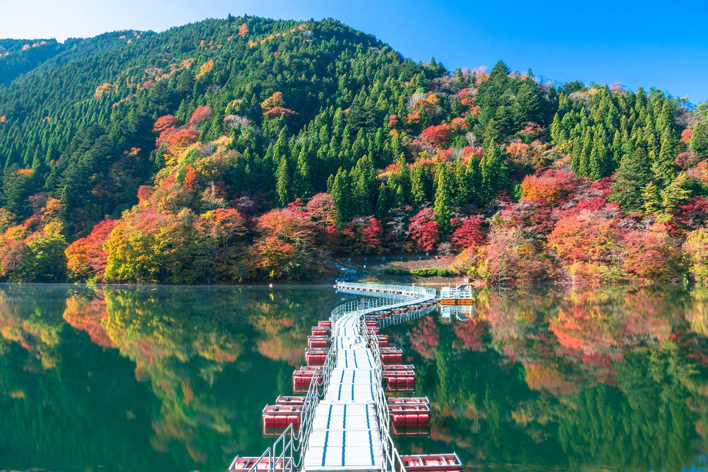 潜派旅行