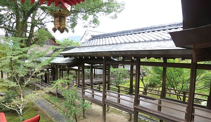 潜派旅行