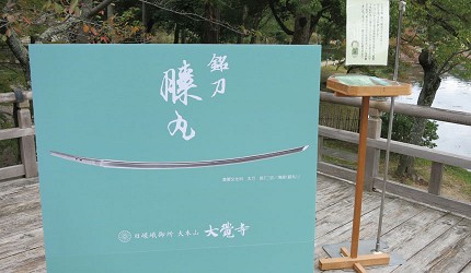 潜派旅行
