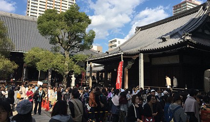 潜派旅行