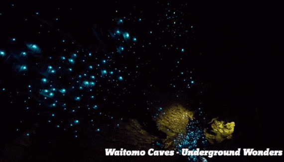 570_325gif 动态图 动图