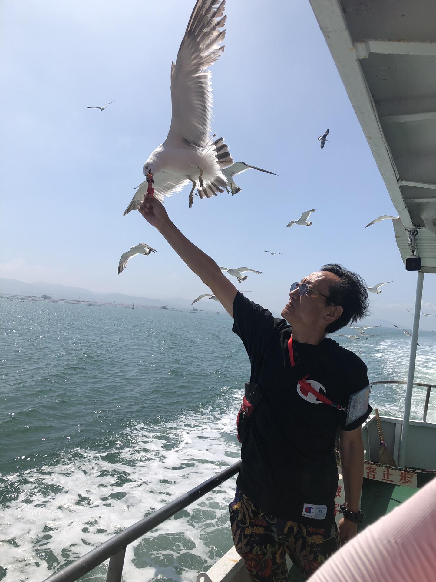 拥抱大海,与清风明月作伴,与家人走遍天下—青岛,蓬莱