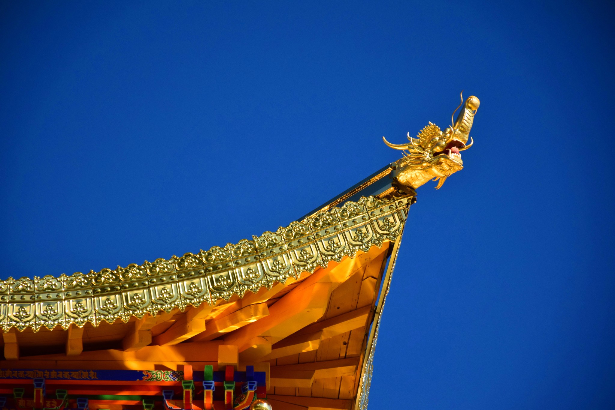 【 阿坝 环线游】D5---郎木寺_游记