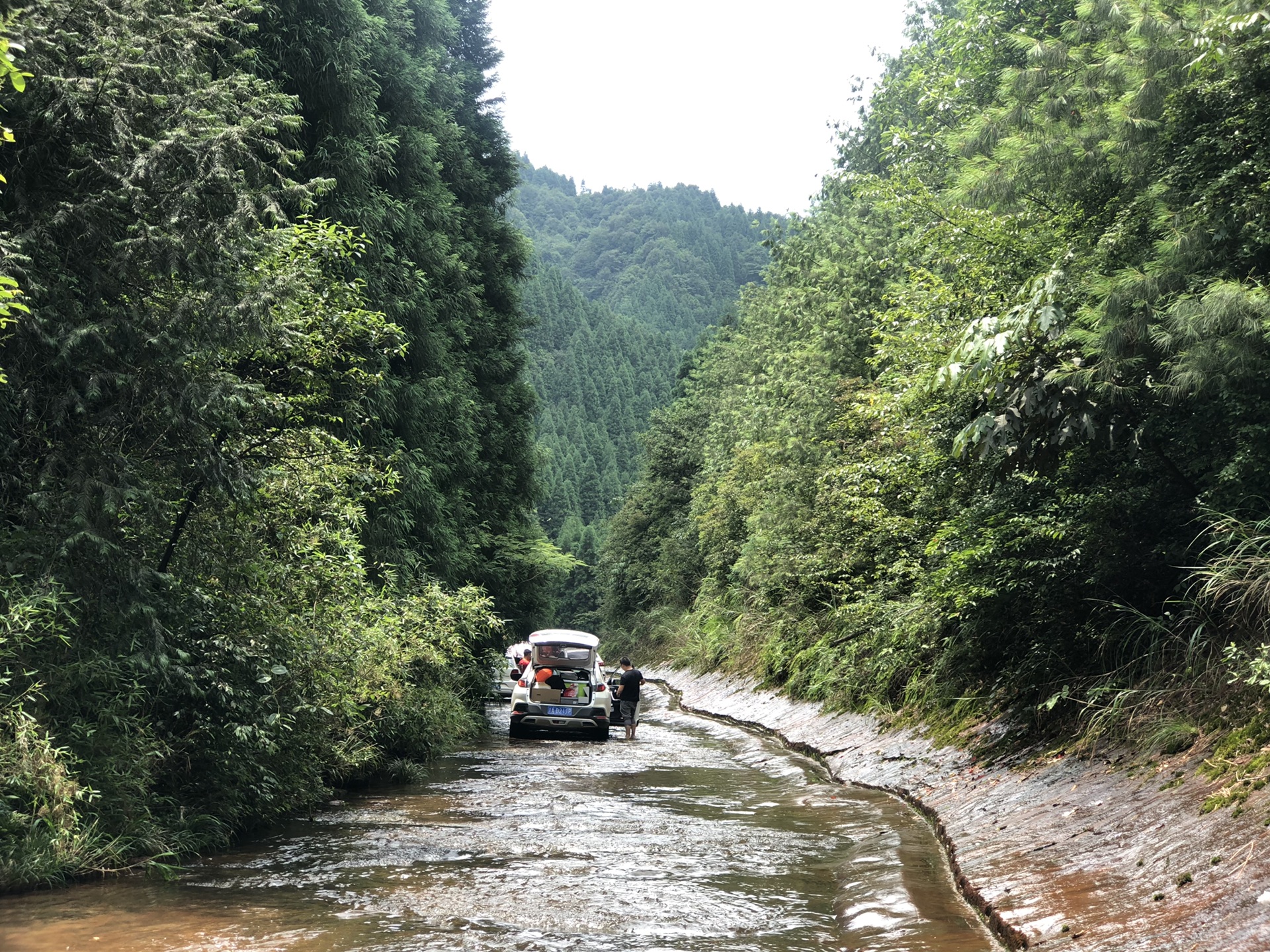 夏日重庆的小众玩水地飞鸽林场