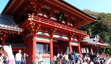 潜派旅行