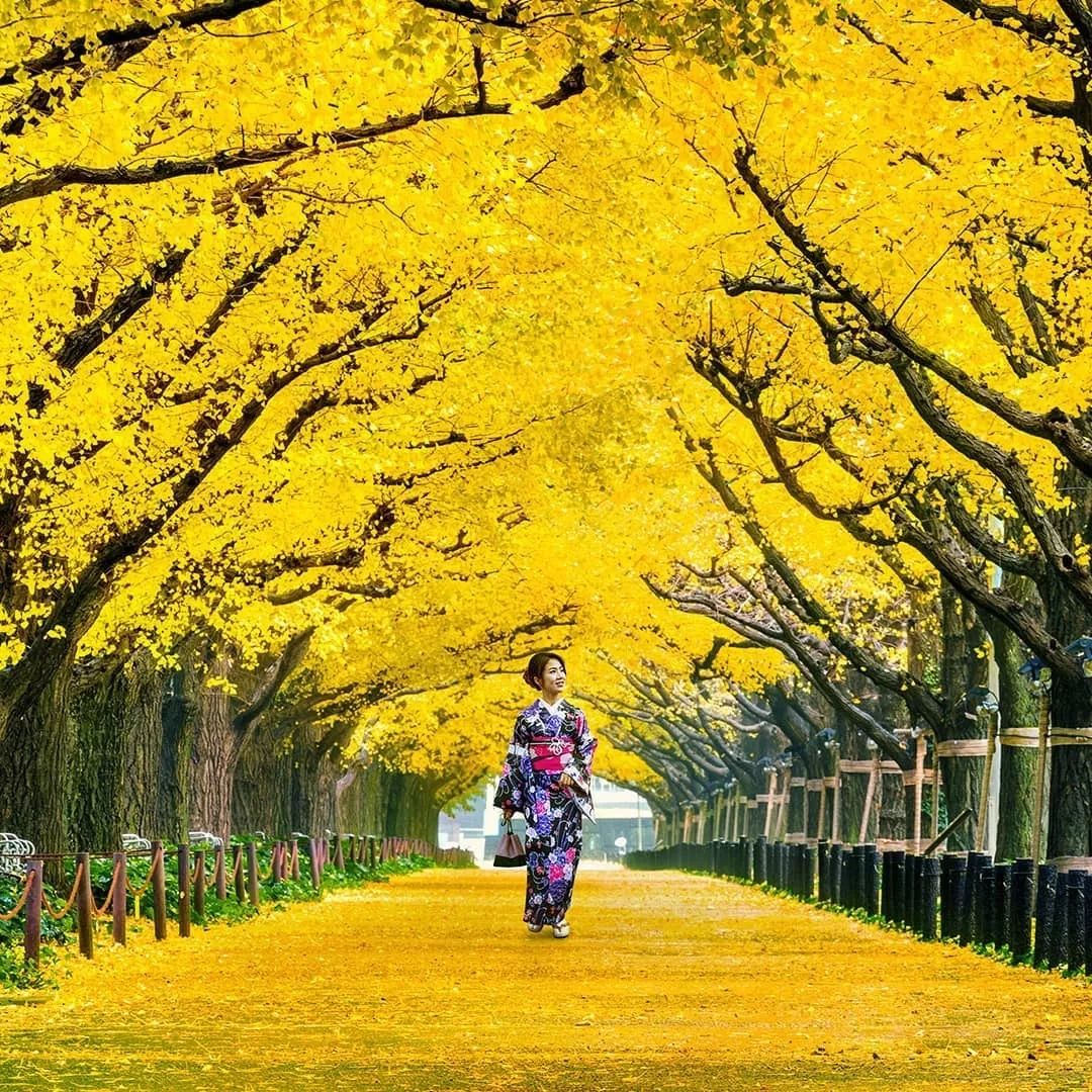 潜派旅行