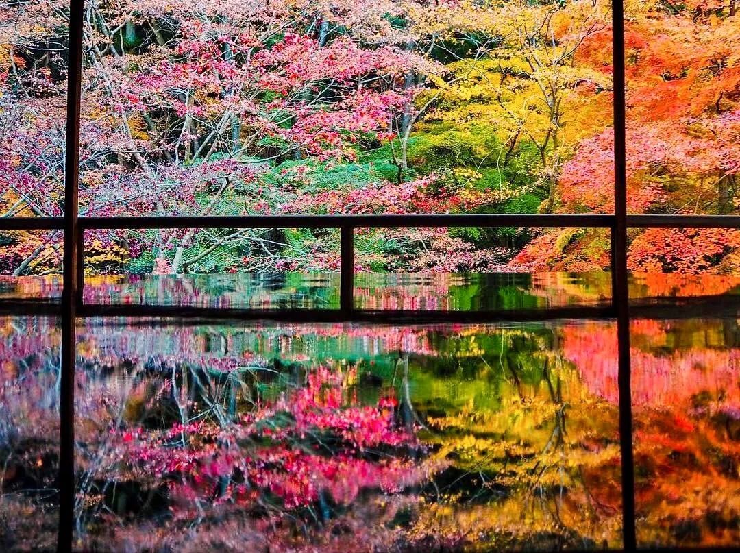 潜派旅行