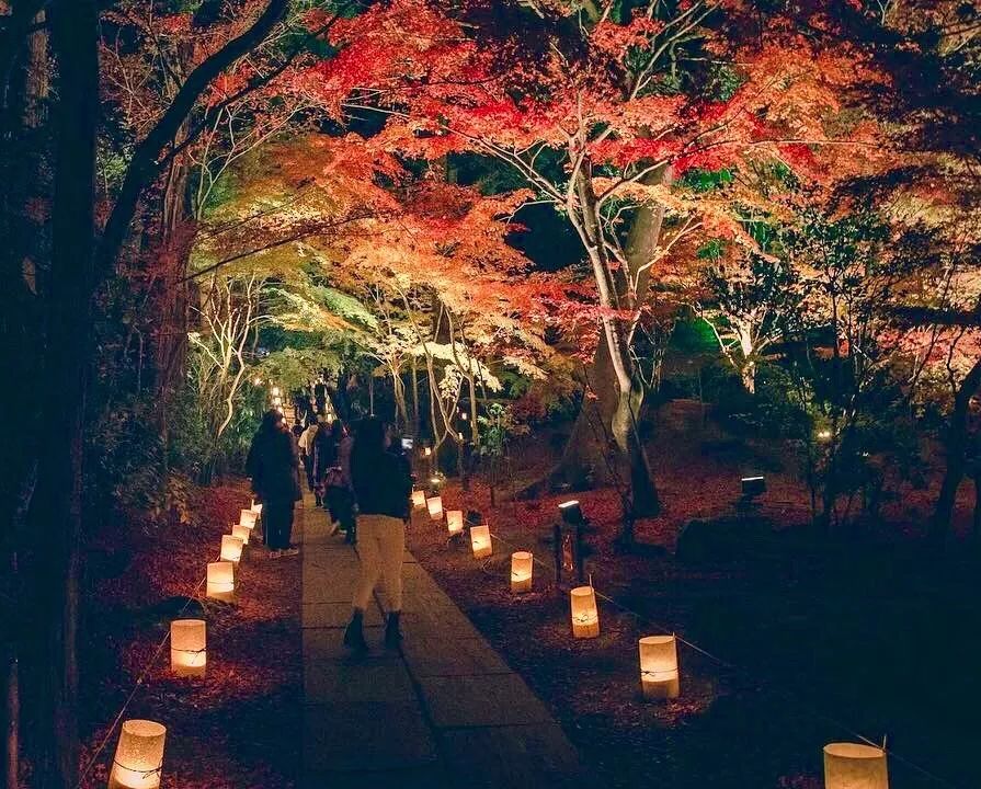 潜派旅行