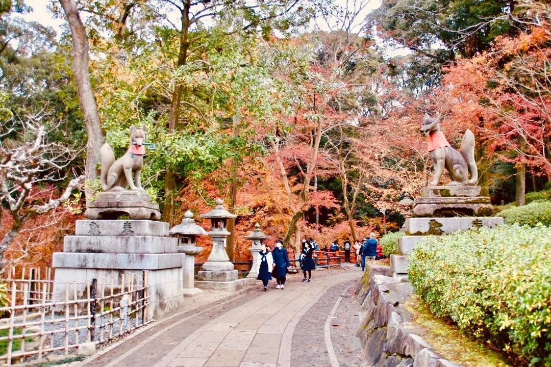 潜派旅行