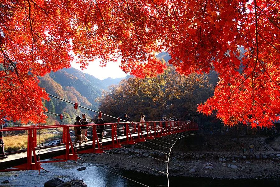潜派旅行