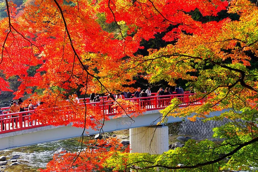 潜派旅行