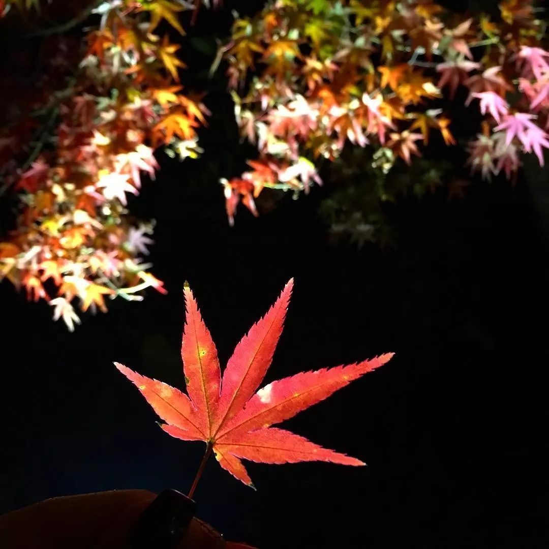 潜派旅行