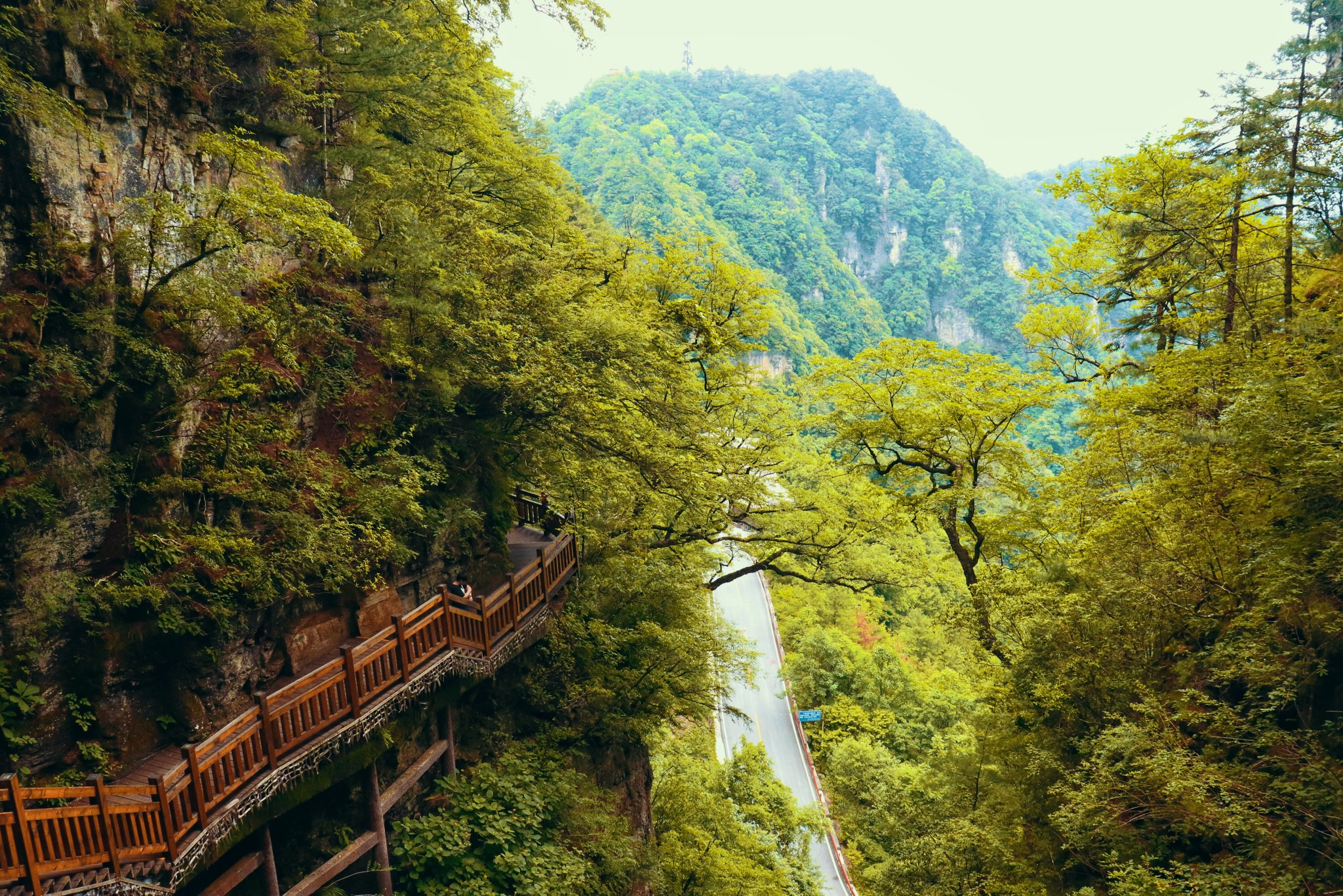 神农架——有山,有水,有你们,这就是向往的生活