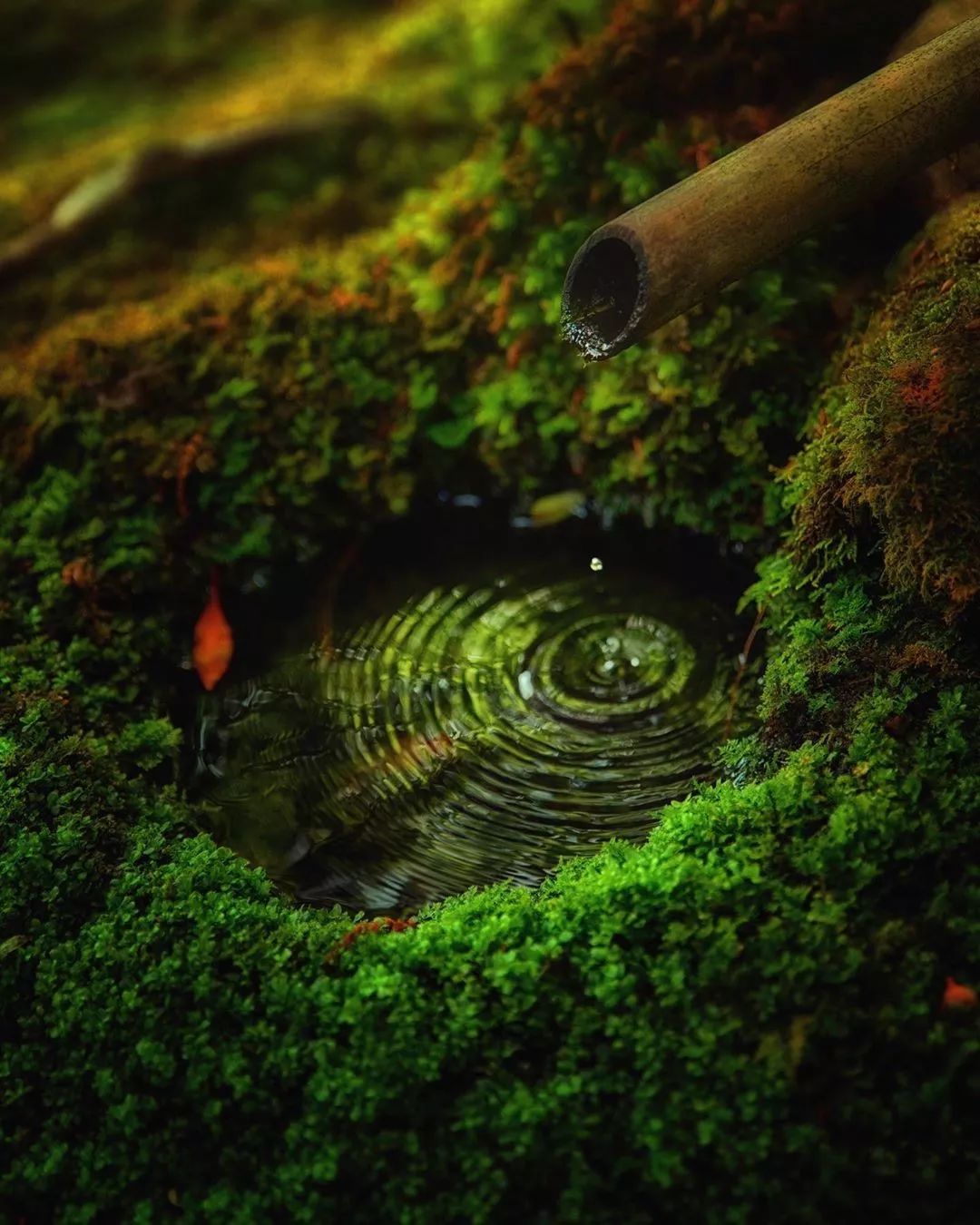 潜派旅行