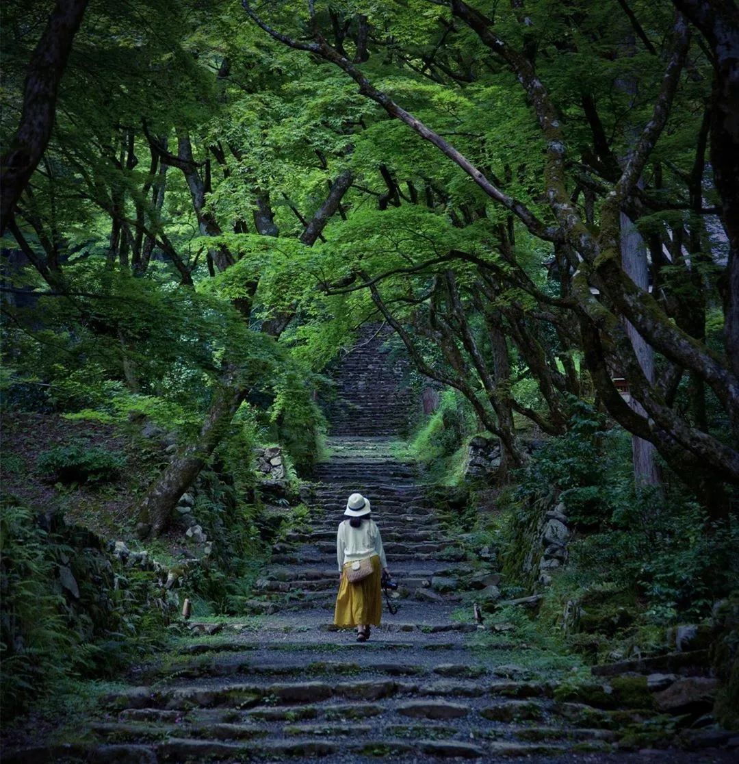 潜派旅行