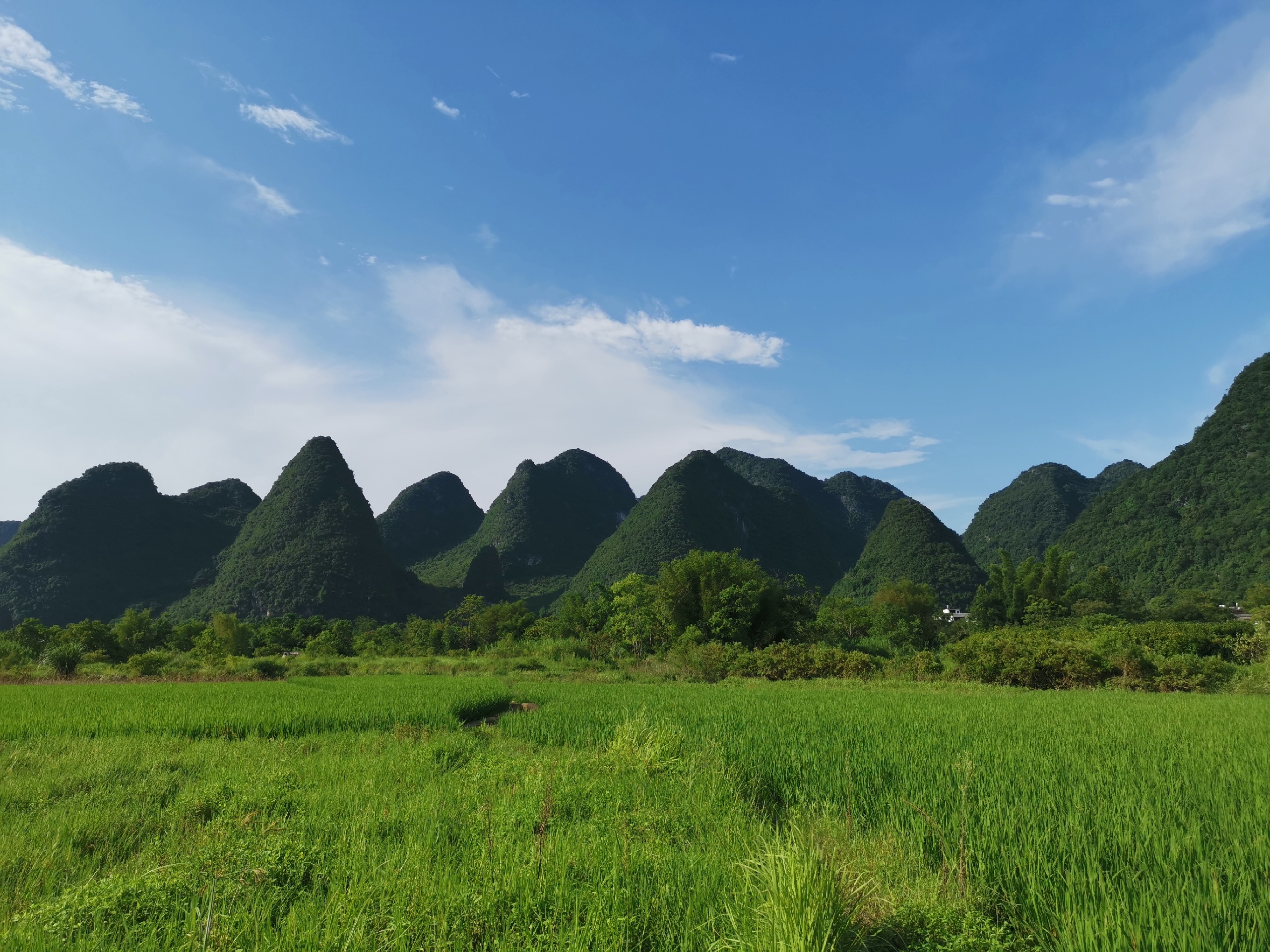 阳朔美食-悠然饭庄