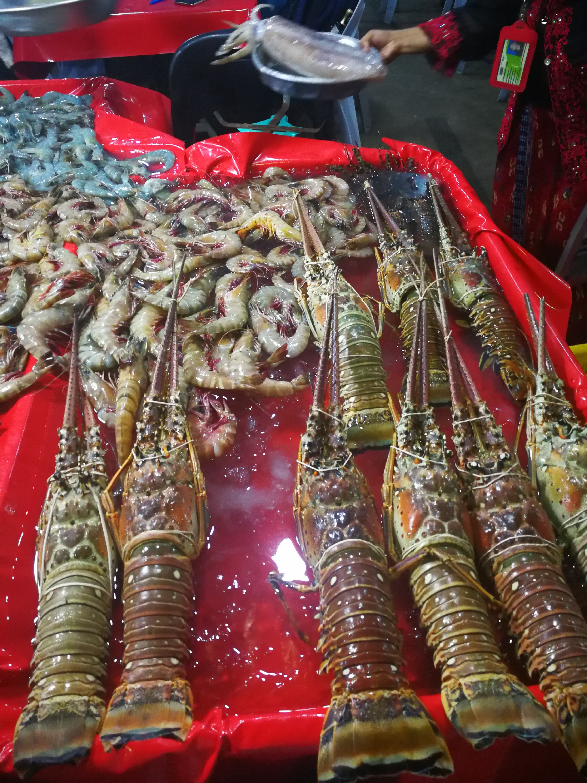 亚庇娱乐-Touch Borneo