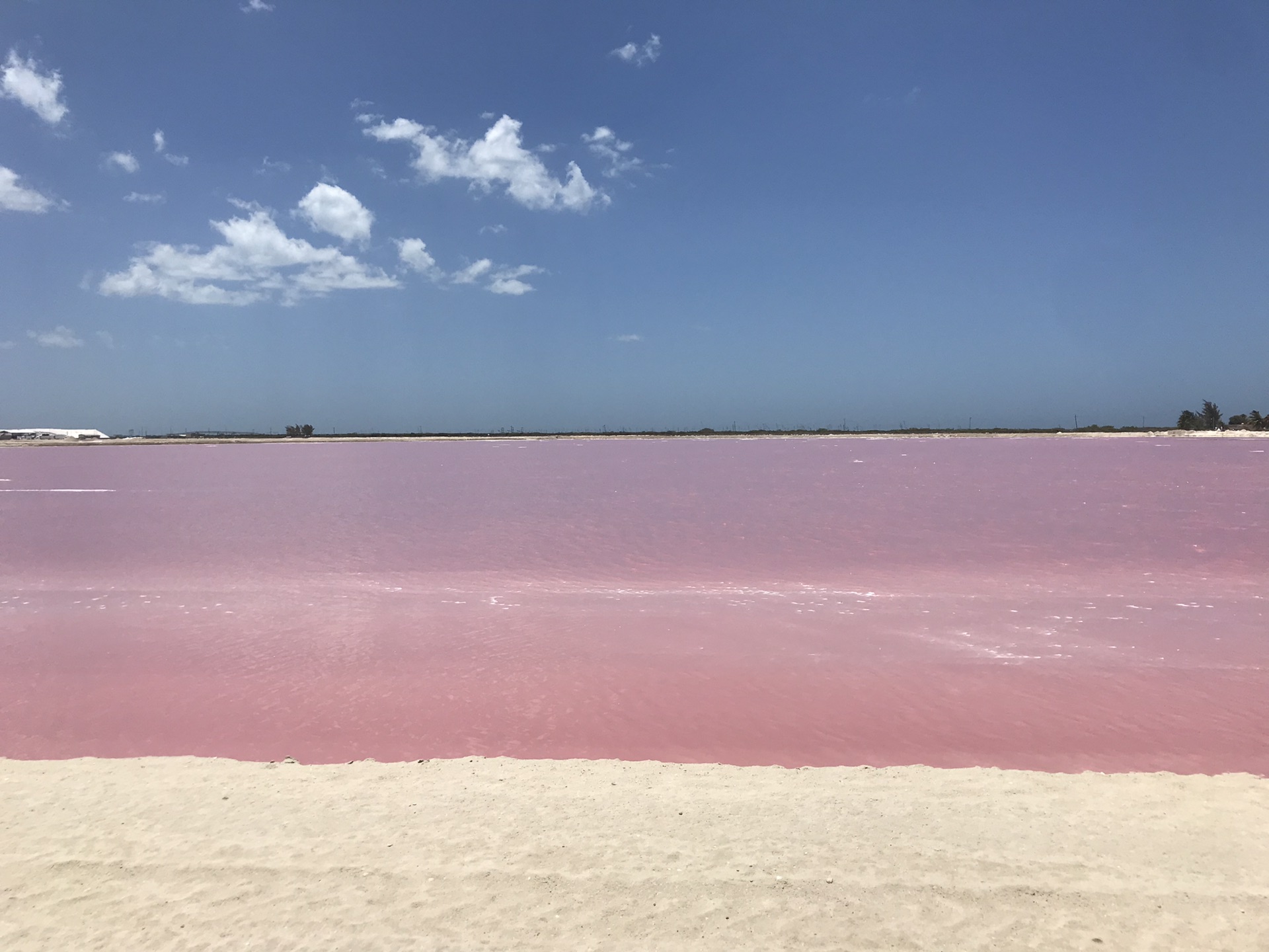 坎昆粉红湖pink lake一日游_游记