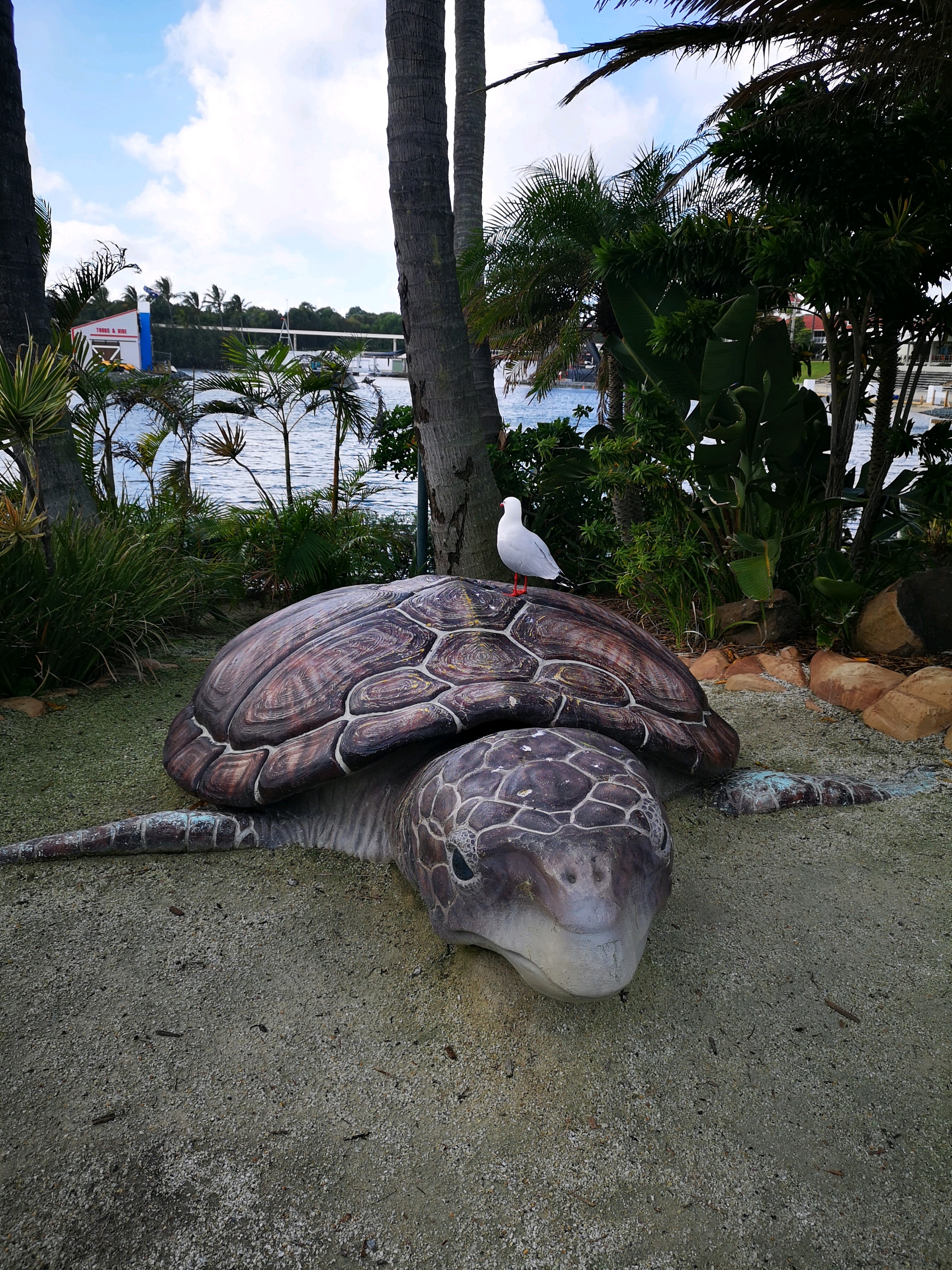 黄金海岸（澳大利亚）美食-Tower 28 Café