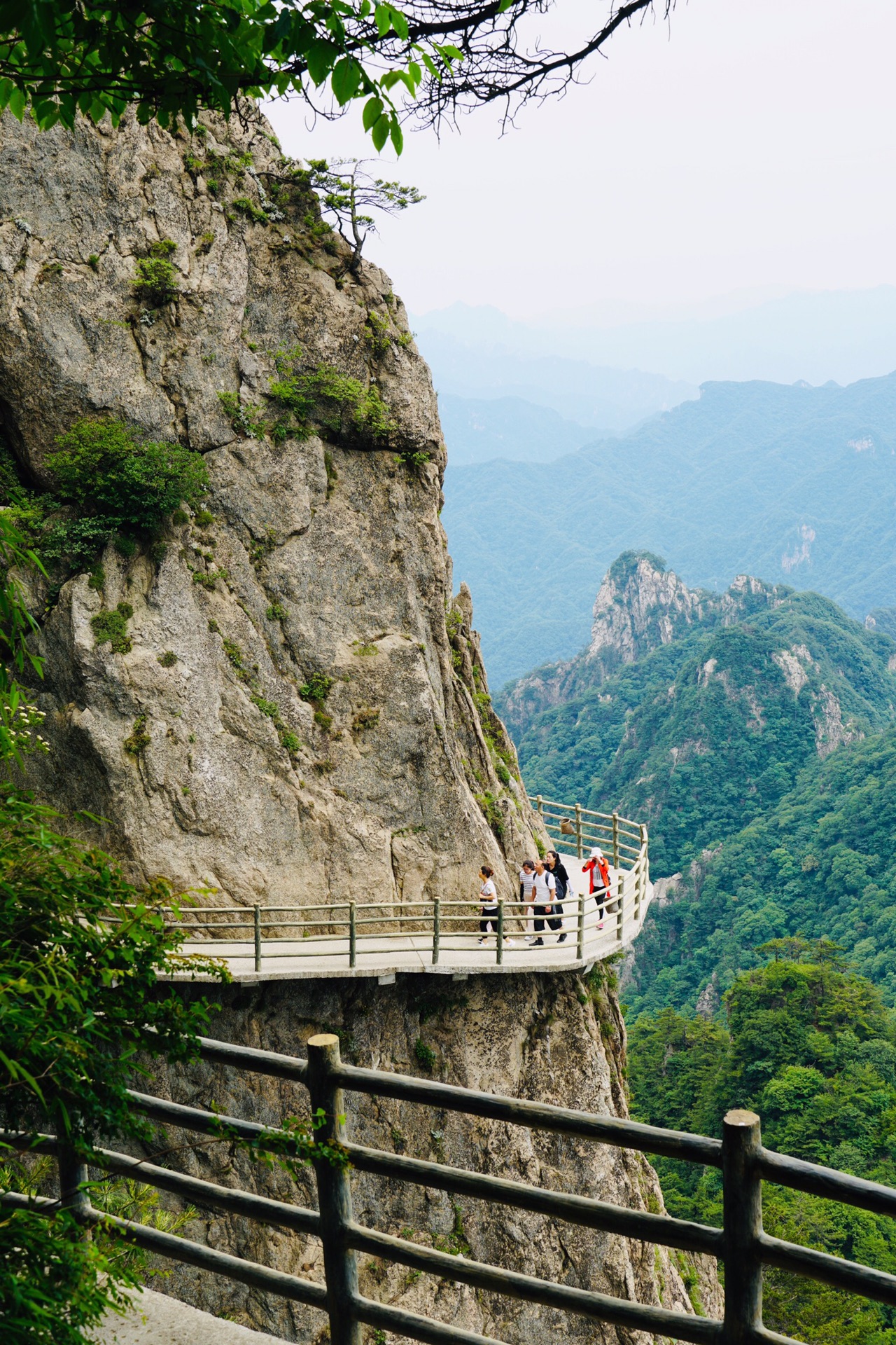 畅游河南山水之栾川老君山,栾川自助游攻略 - 马蜂窝