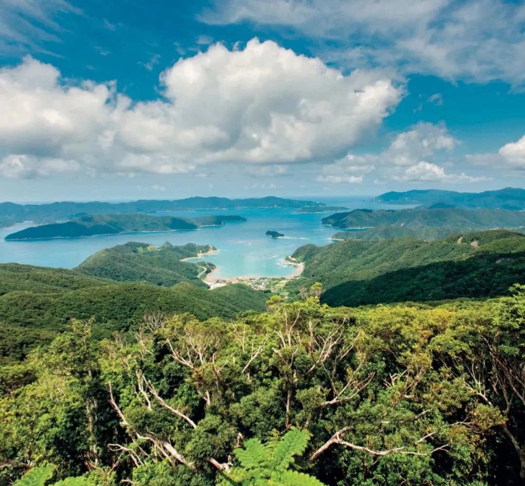 潜派旅行