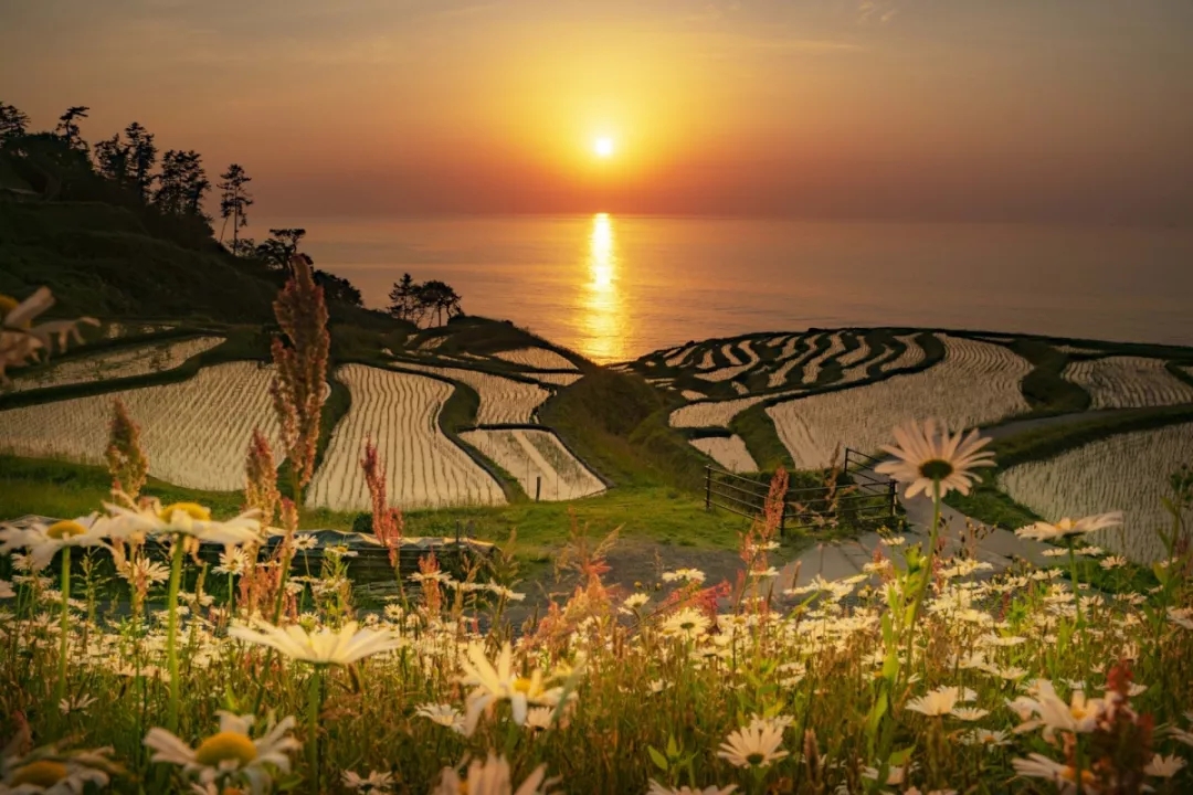 潜派旅行
