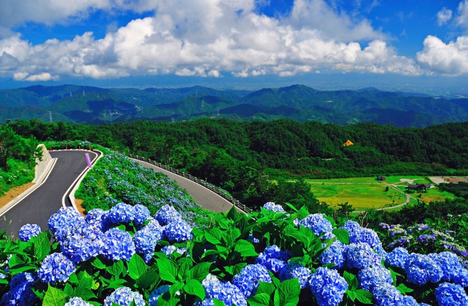 潜派旅行