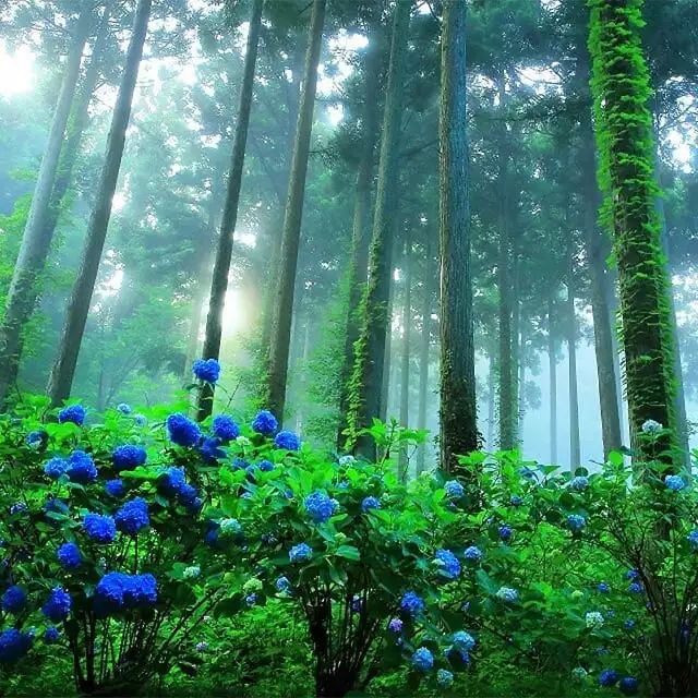 潜派旅行