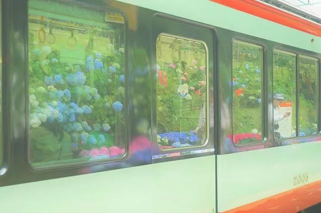 潜派旅行