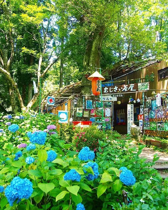 潜派旅行
