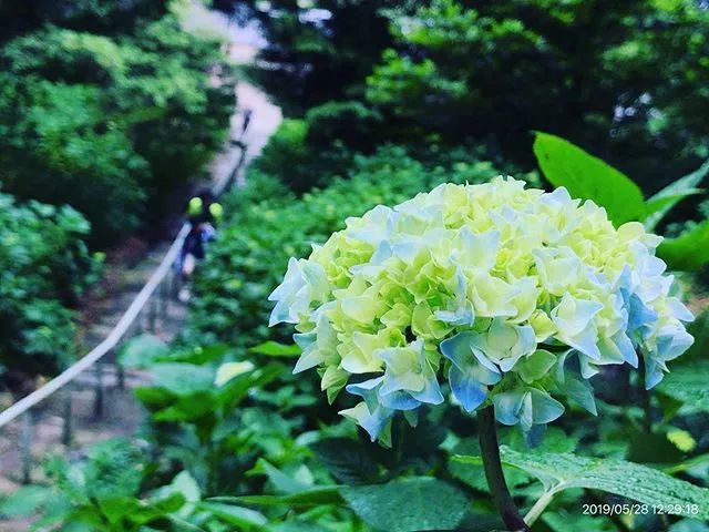 潜派旅行